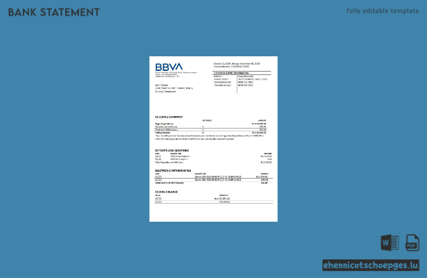 Beispiel eines Kontoauszugs der BBVA Venezuela